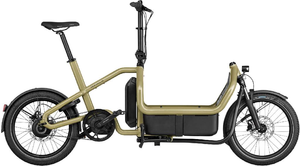 Riese & Müller Carrie vario