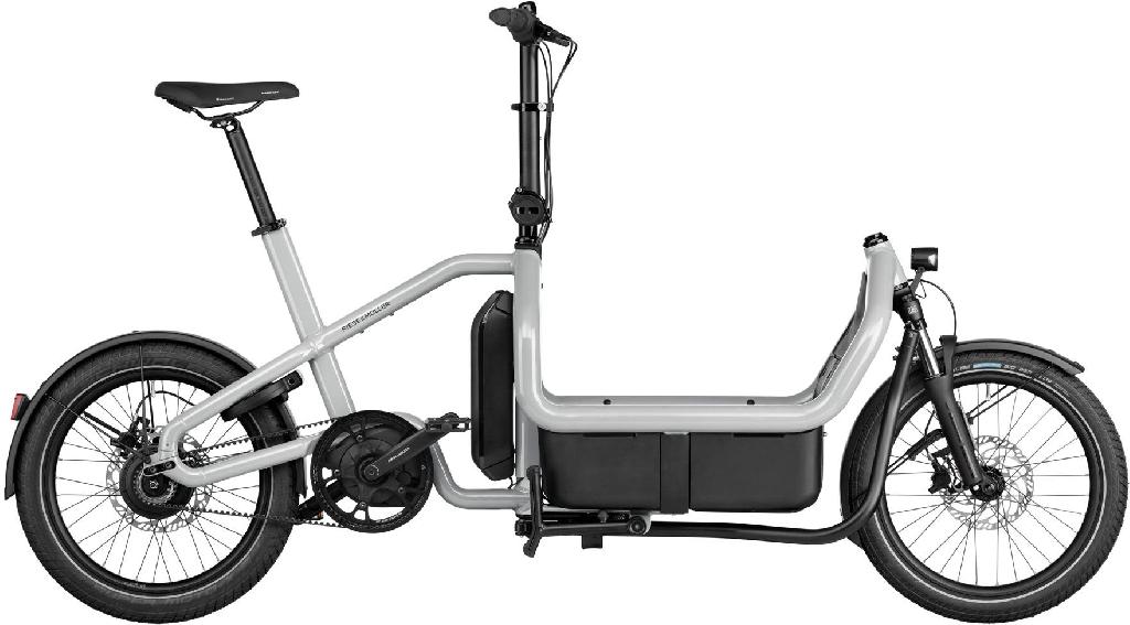 Riese & Müller Carrie vario