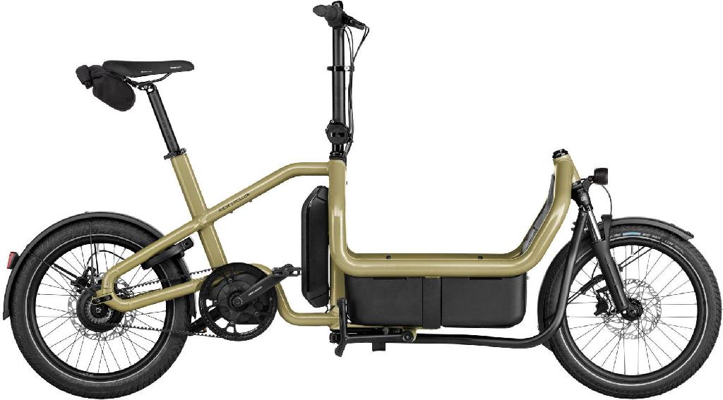 RIESE & MÜLLER Carrie2 vario