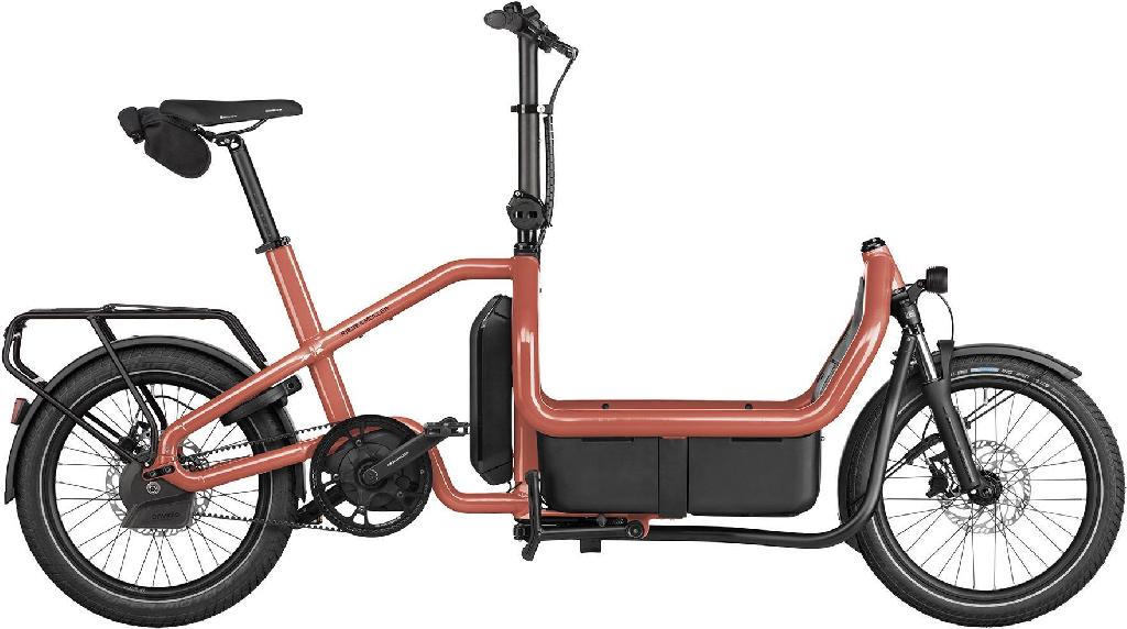 RIESE & MÜLLER Carrie2 automatic