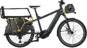 RIESE & MÜLLER Multicharger2 EASY