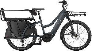 RIESE & MÜLLER Multicharger3 Mixte FAMILY