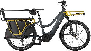 RIESE & MÜLLER Multicharger3 Mixte FAMILY