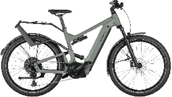 Riese & Müller Delite4 GT touring