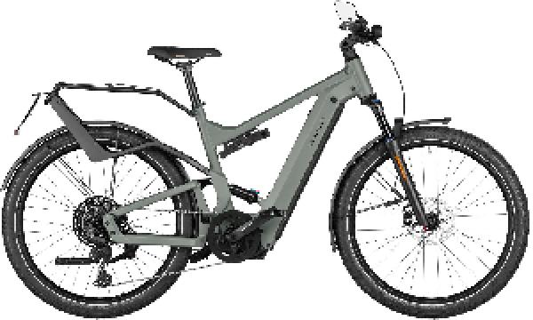 Riese & Müller Delite4 GT touring HS