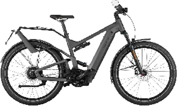 Riese & Müller Delite4 GT vario HS