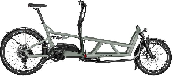 Riese & Müller Load4 60 touring