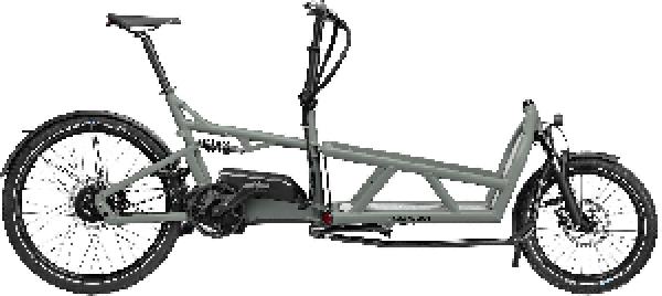 Riese & Müller Load4 60 vario