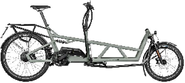 Riese & Müller Load4 60 vario HS
