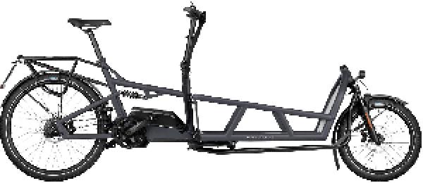 Riese & Müller Load4 75 rohloff HS