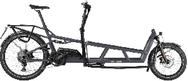 Riese & Müller Load4 75 touring HS