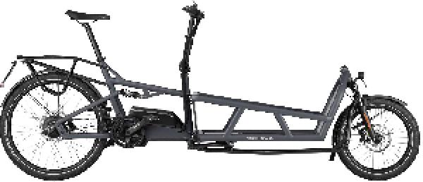 Riese & Müller Load4 75 vario HS