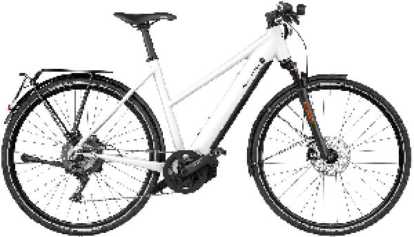 Riese & Müller Roadster4 Mixte touring HS