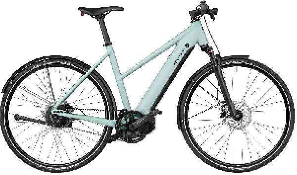 Riese & Müller Roadster4 Mixte vario