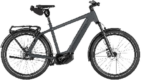 RIESE & MÜLLER Charger5 pinion