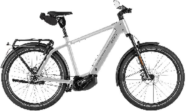 RIESE & MÜLLER Charger5 pinion HS