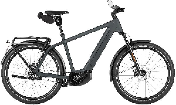 RIESE & MÜLLER Charger5 pinion HS