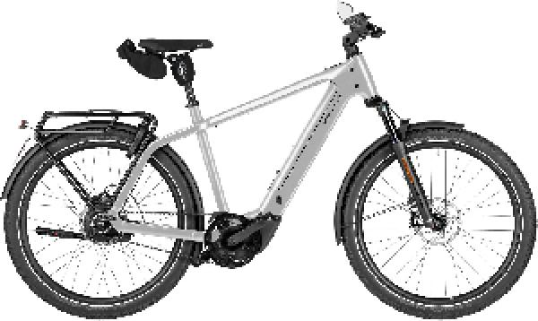 RIESE & MÜLLER Charger5 vario HS