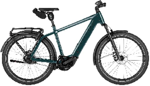 RIESE & MÜLLER Charger5 rohloff