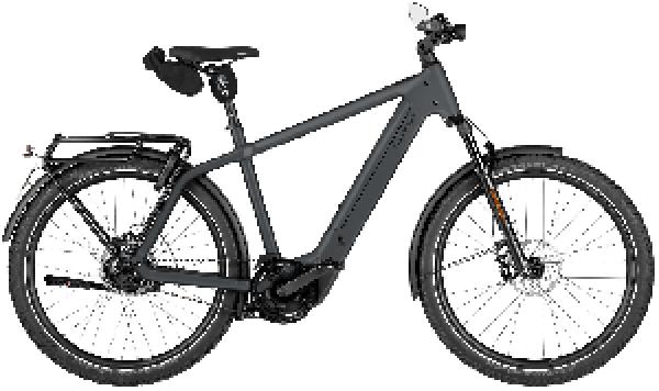 RIESE & MÜLLER Charger5 rohloff HS