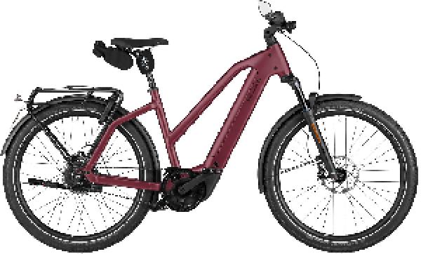 RIESE & MÜLLER Charger5 Mixte vario HS