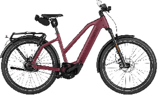 RIESE & MÜLLER Charger5 Mixte rohloff HS