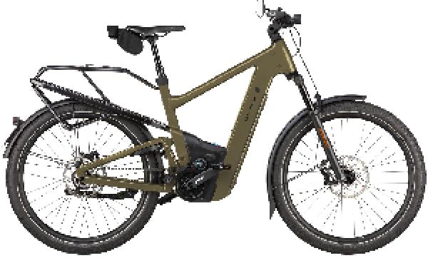 Riese & Müller Delite5 pinion HS