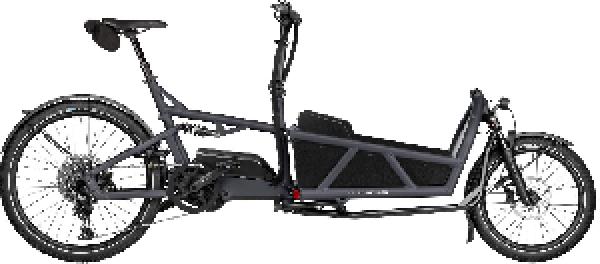 Riese & Müller Load5 60 touring