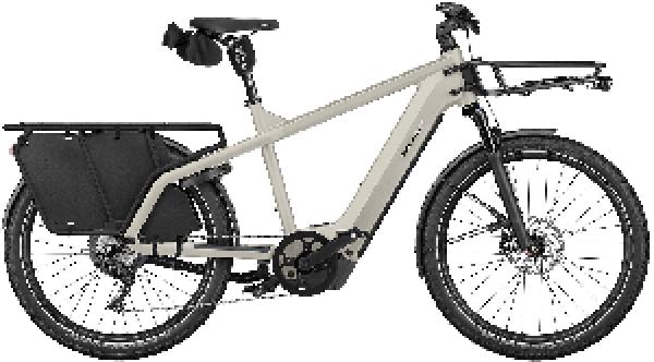 RIESE & MÜLLER Multicharger3 touring
