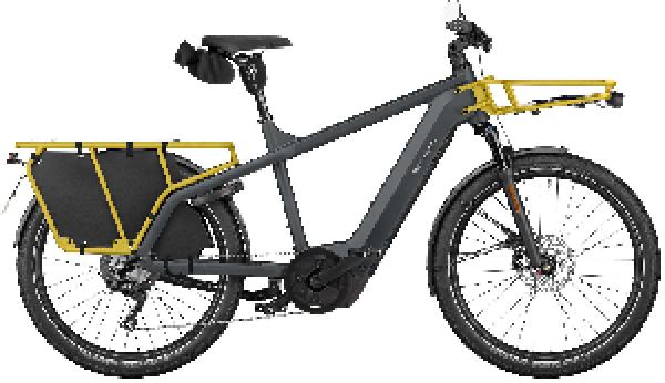 RIESE & MÜLLER Multicharger3 touring HS