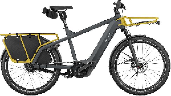 RIESE & MÜLLER Multicharger3 vario