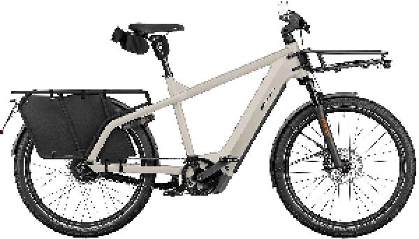 RIESE & MÜLLER Multicharger3 vario HS