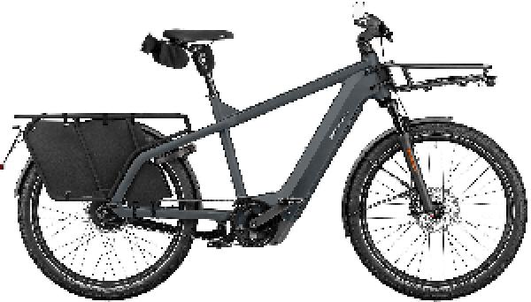 RIESE & MÜLLER Multicharger3 vario HS