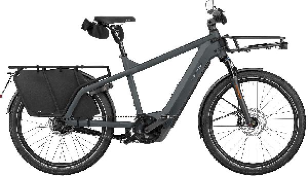 RIESE & MÜLLER Multicharger3 rohloff HS