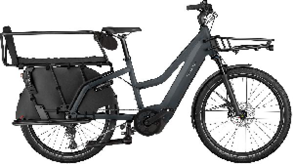 RIESE & MÜLLER Multicharger3 Mixte FAMILY