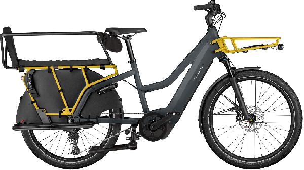 RIESE & MÜLLER Multicharger3 Mixte FAMILY