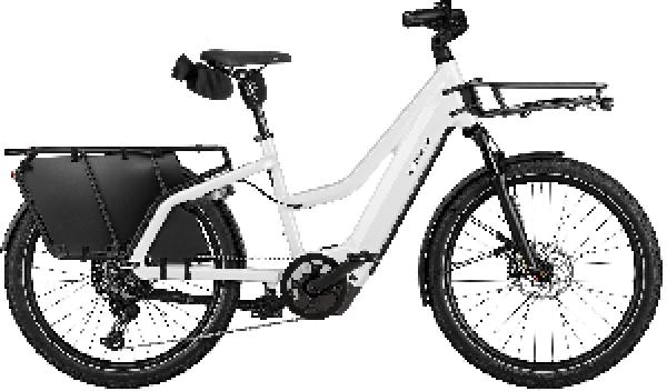 Riese & Müller Multicharger3 Mixte touring