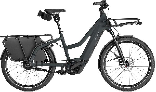 RIESE & MÜLLER Multicharger3 Mixte vario