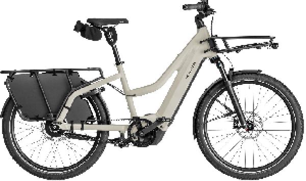 RIESE & MÜLLER Multicharger3 Mixte vario