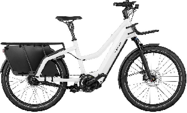 RIESE & MÜLLER Multicharger3 Mixte rohloff