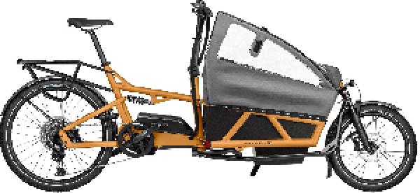 Riese & Müller Load4 60 EASY