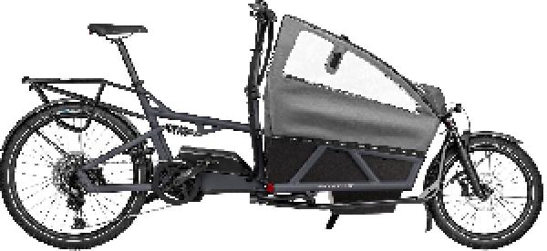 Riese & Müller Load4 60 EASY