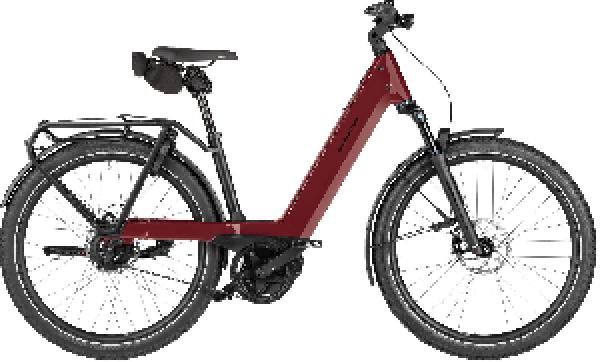 RIESE & MÜLLER Nevo5 vario