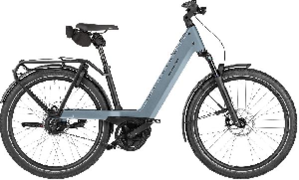 RIESE & MÜLLER Nevo5 vario