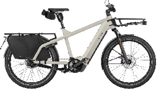 Riese & Müller Multicharger3 rohloff HS