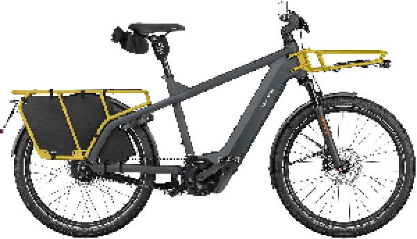 Riese & Müller Multicharger3 vario HS