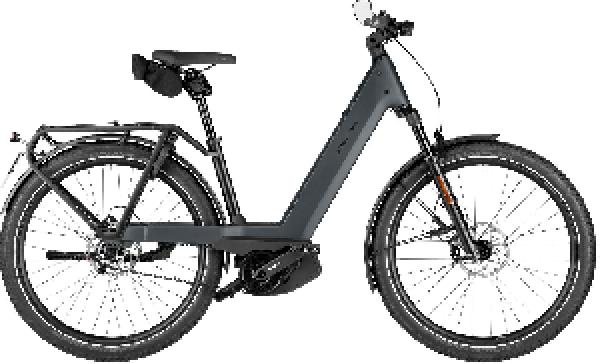 Riese & Müller Nevo5 pinion HS